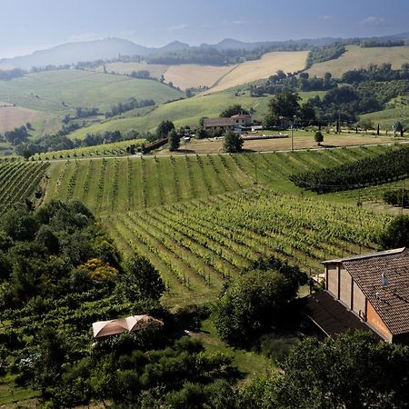 La Ca Dal Non Bioagriturismo - Alpenice Savignano sul Panaro Εξωτερικό φωτογραφία