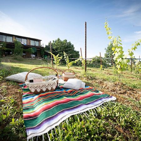 La Ca Dal Non Bioagriturismo - Alpenice Savignano sul Panaro Εξωτερικό φωτογραφία