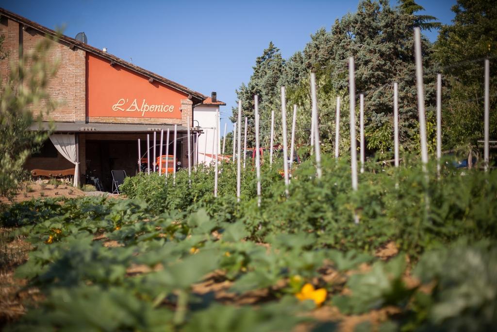 La Ca Dal Non Bioagriturismo - Alpenice Savignano sul Panaro Εξωτερικό φωτογραφία