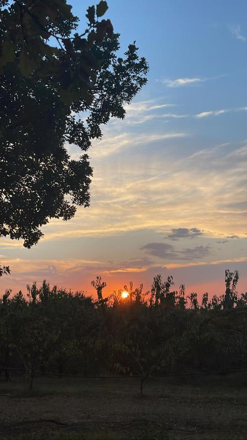 La Ca Dal Non Bioagriturismo - Alpenice Savignano sul Panaro Εξωτερικό φωτογραφία