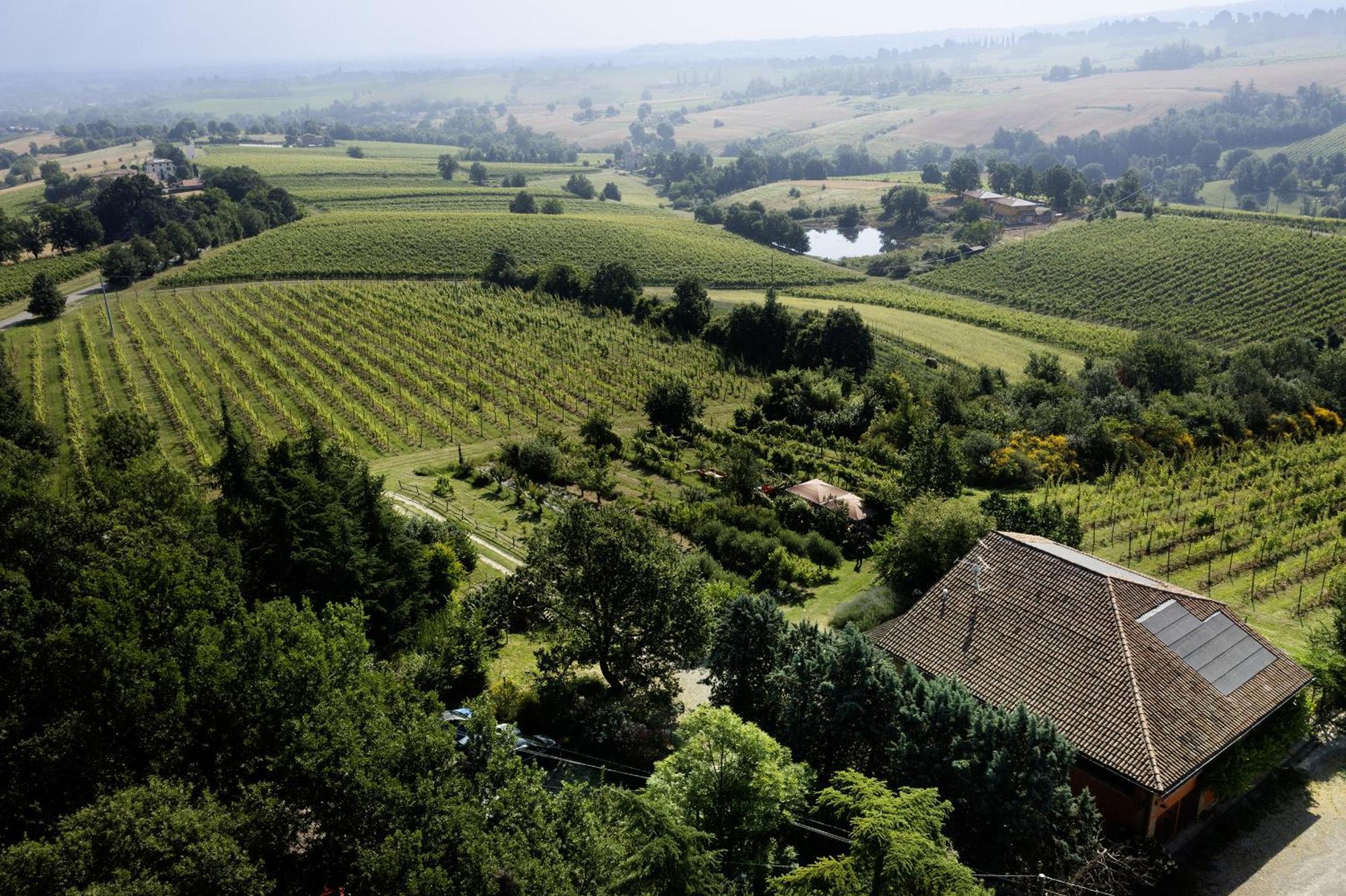 La Ca Dal Non Bioagriturismo - Alpenice Savignano sul Panaro Εξωτερικό φωτογραφία