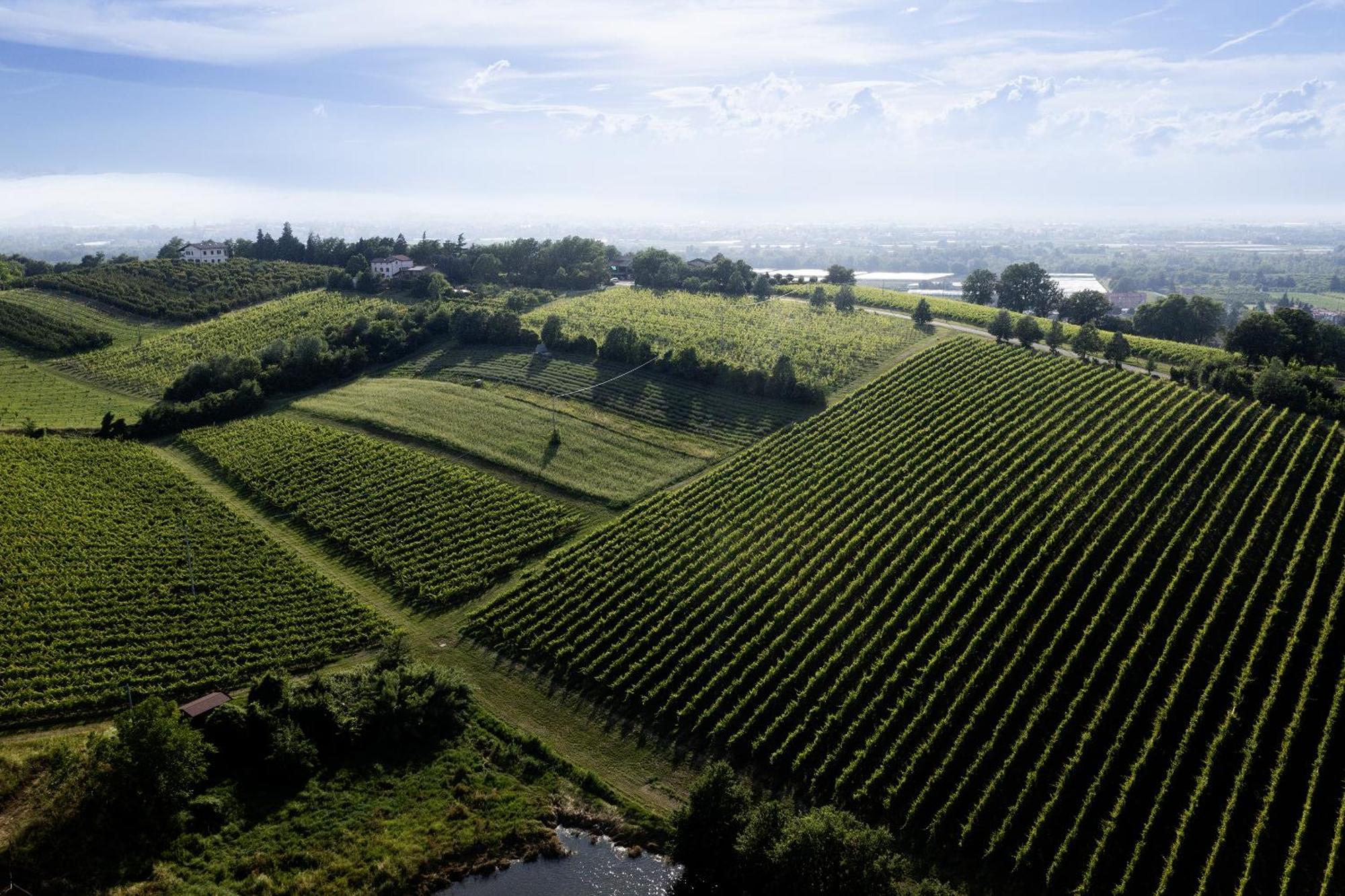 La Ca Dal Non Bioagriturismo - Alpenice Savignano sul Panaro Εξωτερικό φωτογραφία