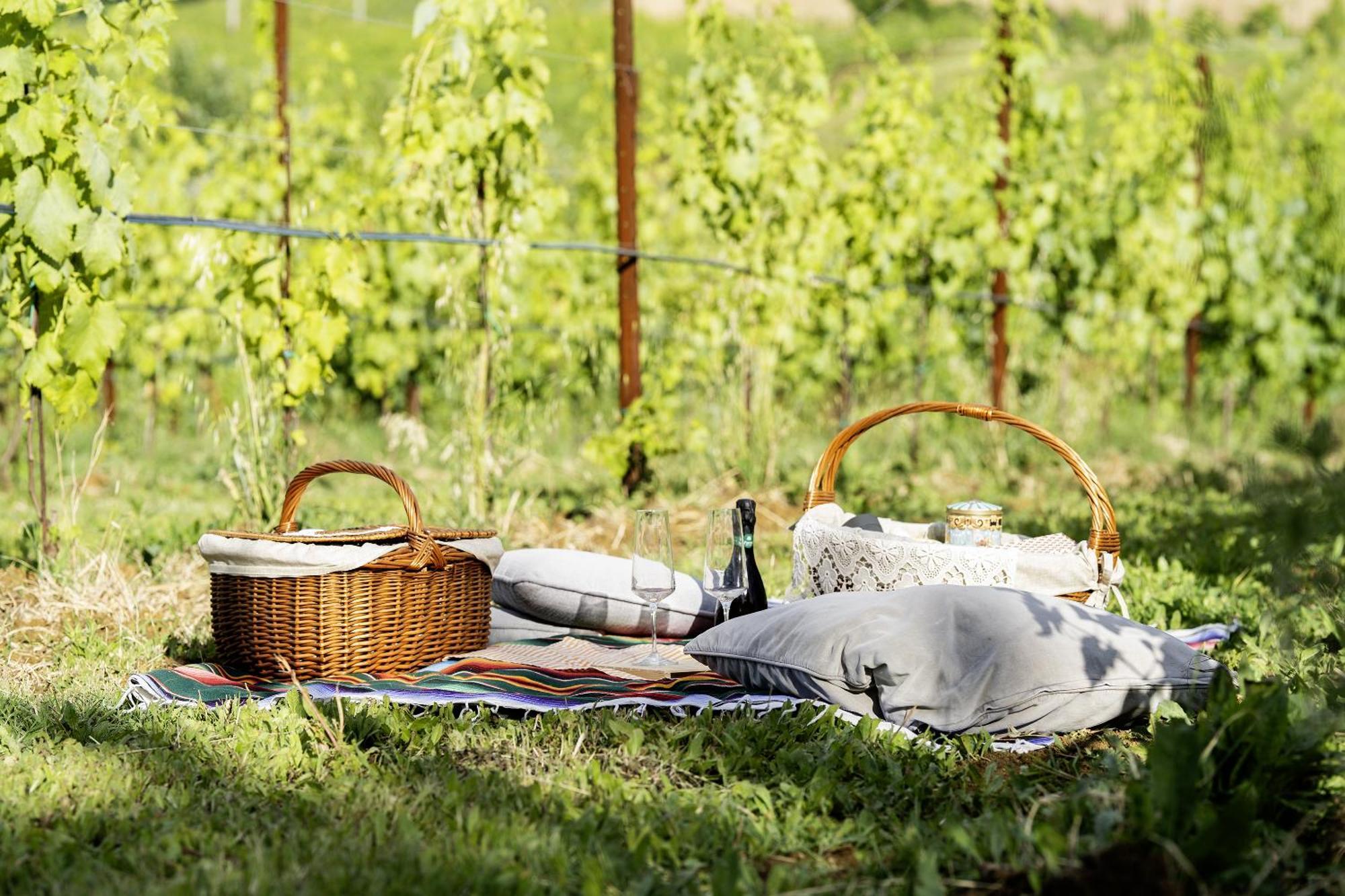 La Ca Dal Non Bioagriturismo - Alpenice Savignano sul Panaro Εξωτερικό φωτογραφία