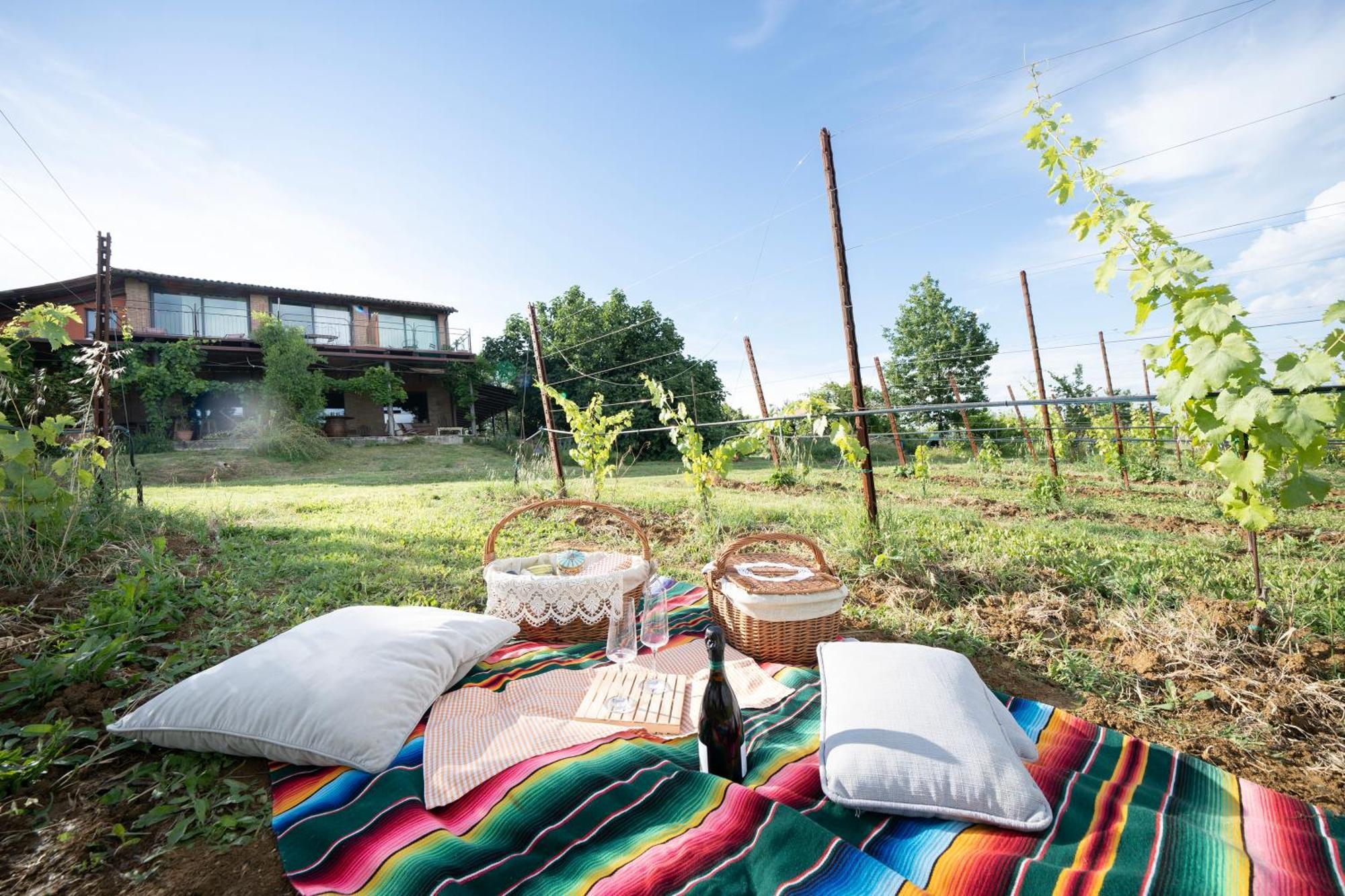 La Ca Dal Non Bioagriturismo - Alpenice Savignano sul Panaro Εξωτερικό φωτογραφία