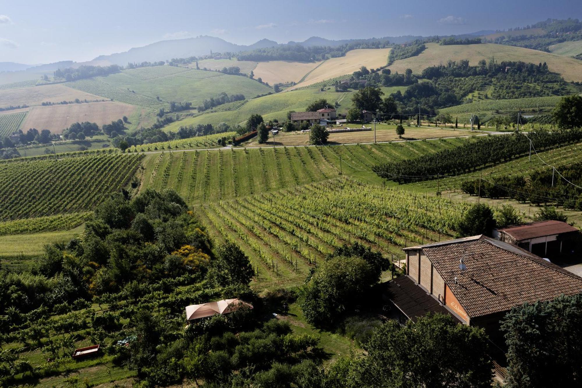 La Ca Dal Non Bioagriturismo - Alpenice Savignano sul Panaro Εξωτερικό φωτογραφία