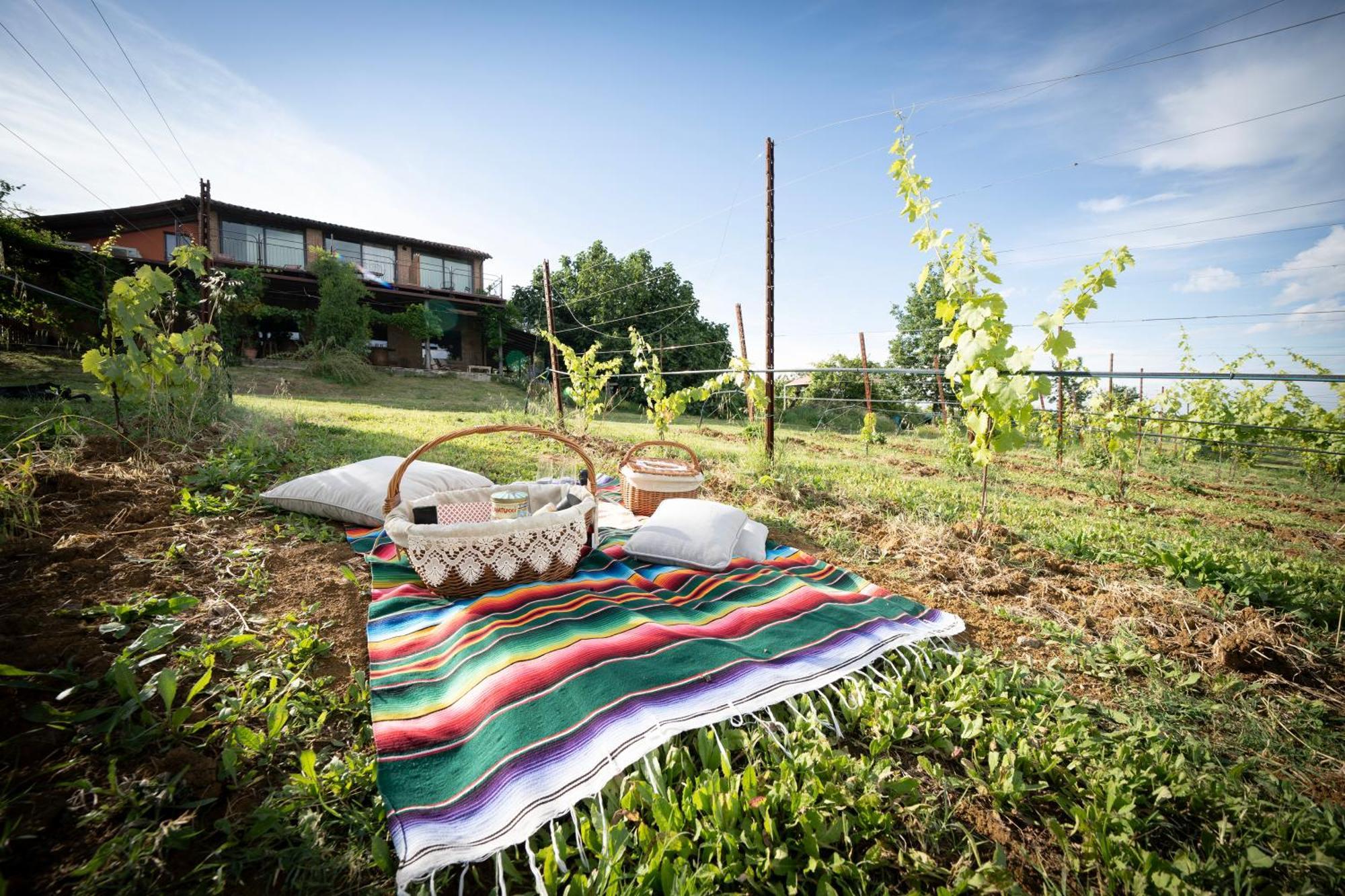 La Ca Dal Non Bioagriturismo - Alpenice Savignano sul Panaro Εξωτερικό φωτογραφία