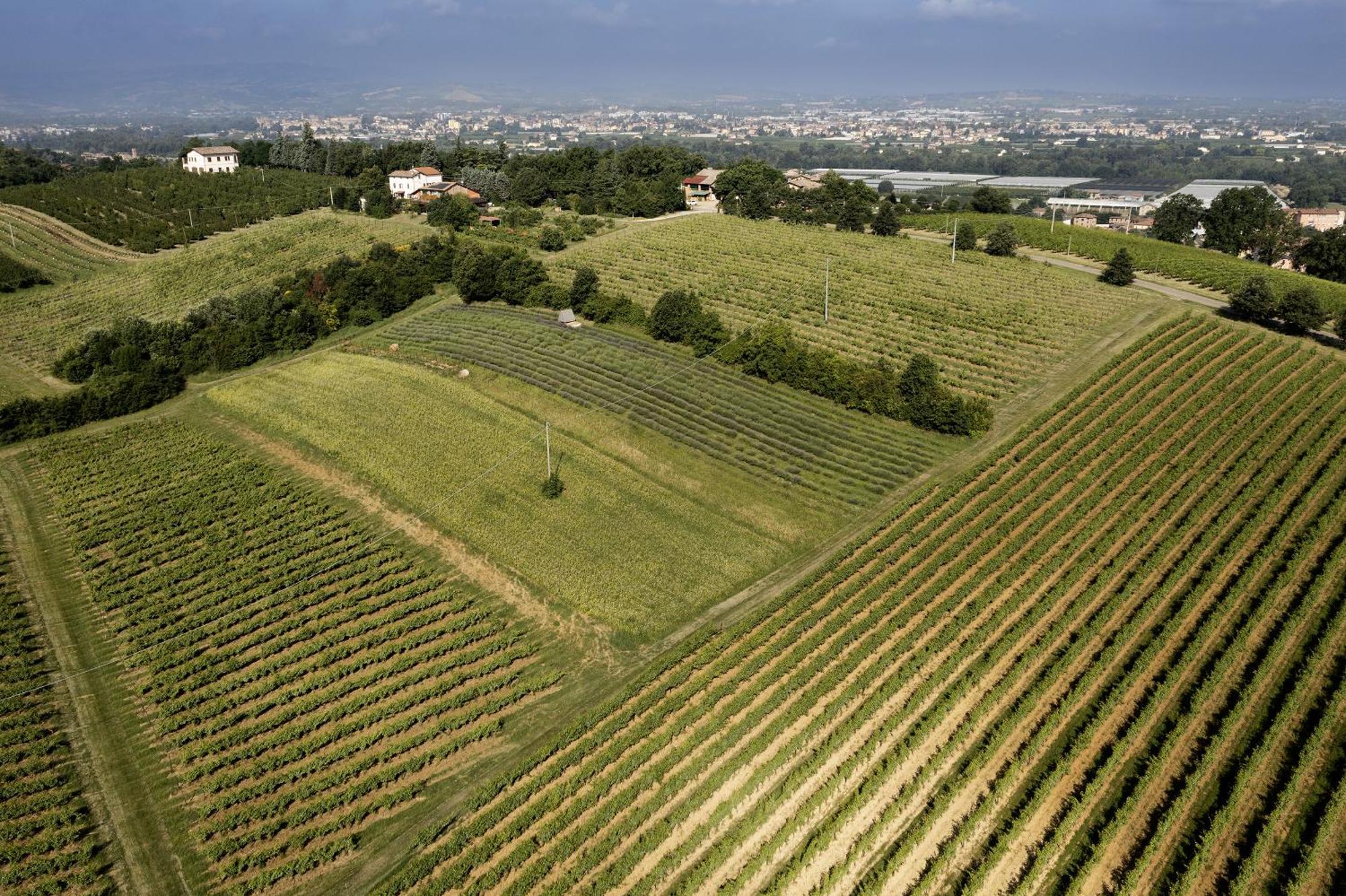 La Ca Dal Non Bioagriturismo - Alpenice Savignano sul Panaro Εξωτερικό φωτογραφία