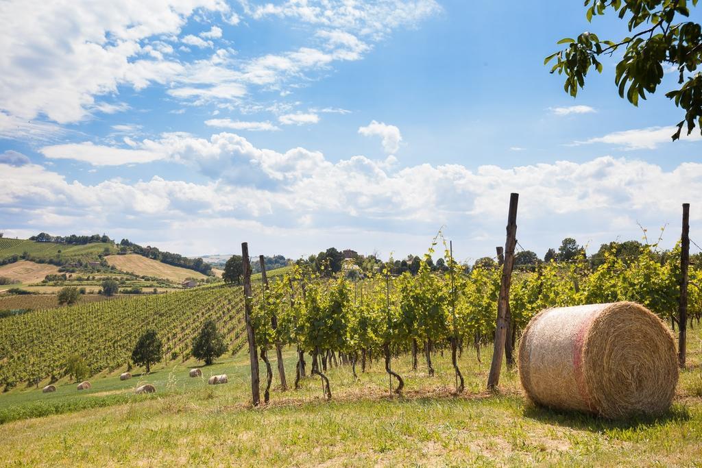 La Ca Dal Non Bioagriturismo - Alpenice Savignano sul Panaro Εξωτερικό φωτογραφία