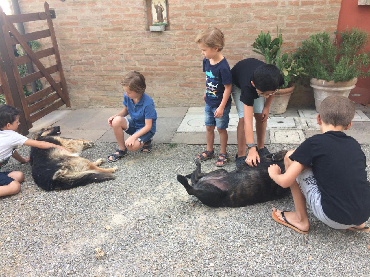 La Ca Dal Non Bioagriturismo - Alpenice Savignano sul Panaro Εξωτερικό φωτογραφία